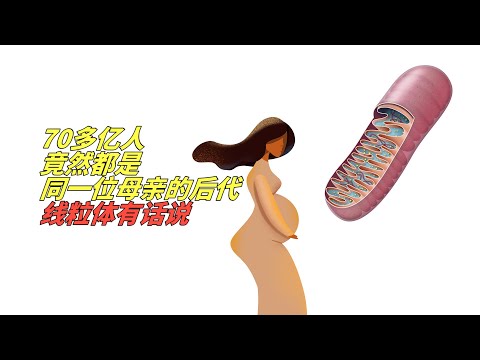 人类母系祖先“线粒体夏娃”生存在20万年前，线粒体“夏娃”与Y染色体“亚当”之谜【基地边缘】