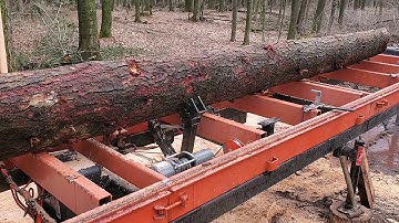 Sawmill winch log turner