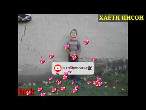 ИН БАЧА СРУДРО