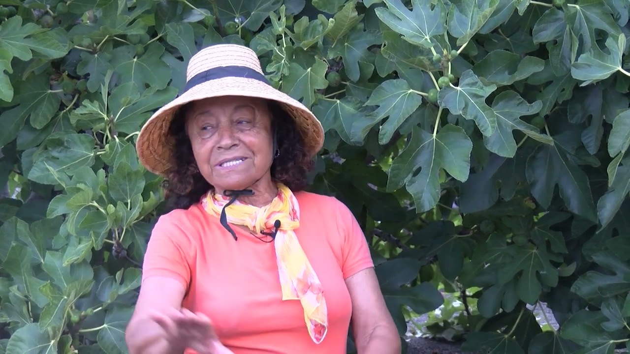 Lanzarote Primario-Frutales Históricos en Yaiza