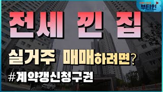 전세낀집 실거주 매매 계약갱신권충돌없이 사고 파는 법  [부티인꿀팁]