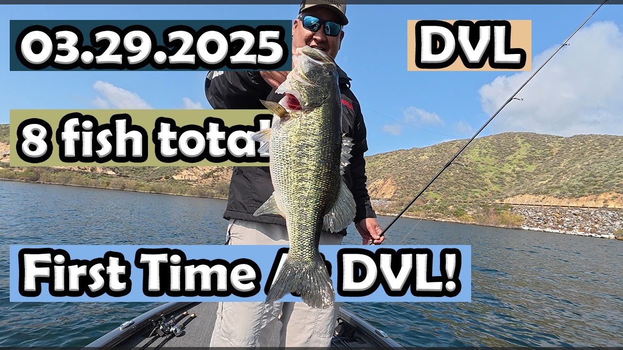 Diamond Valley Lake Bass Fishing: first time, 8 fish total #dvlfishing #zmanfishingproducts