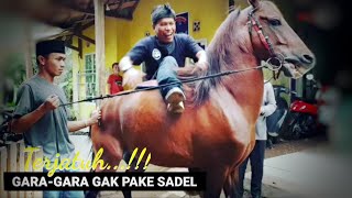 TERJATUH! KUDA RENGGONG PUTRA KUMBA GRUP | Dancing Horse