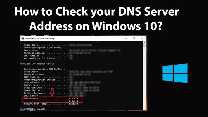 How to Check your DNS Server Address on Windows 10?