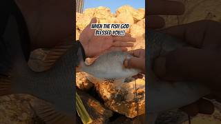 fishing in Bahrain / a lot of fish #fishinginbahrain #fishing #bokztvofficial #shrimpbait #honeyhole