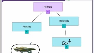 SMART Notebook 15 - Concept Map