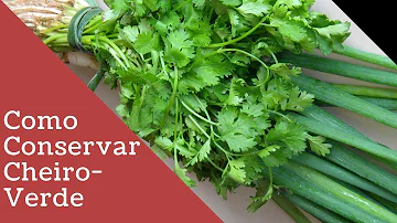 Como conservar o cheiro-verde por mais tempo na geladeira?