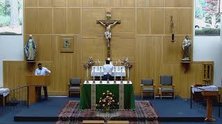 15th Sunday in Ordinary Time - 2026-07-12 11:30am Mass - Our Lady of Lourdes, Raleigh NC