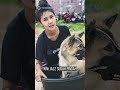 Banjir Thailand: Wanita dan Anjingnya Terjebak di Atap #shorts