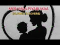 Meri maa piyari maa slowed  reverb