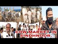 COW SLAUGHTER BILL EFFECT GROUND REPORT SINDHNUR COW MARKET.