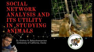 Social Network Analysis And Its Utility In Studying Animals - Dr. Krishna Balasubramaniam
