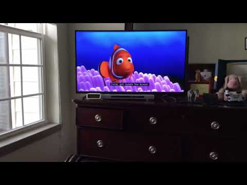 Finding Nemo Opening Scene, Barracuda Attack, Coral’s Death (Audio Description )