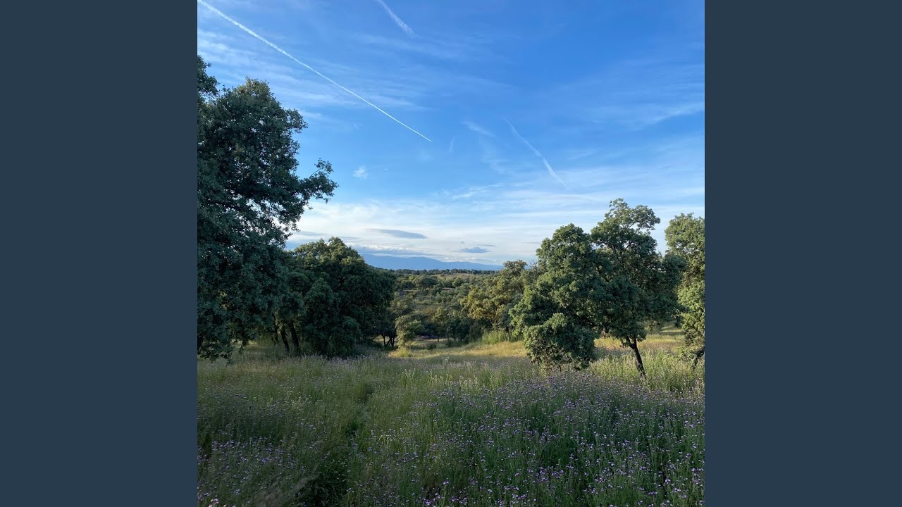 echoing through the treetops