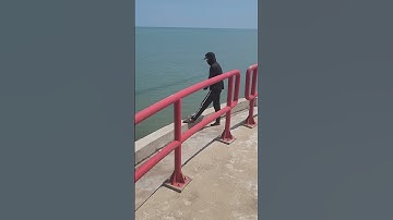 Câu cá điện gió Bạc Liêu