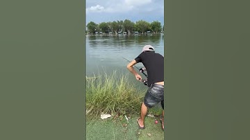 Hồ câu hải long vương nha ae