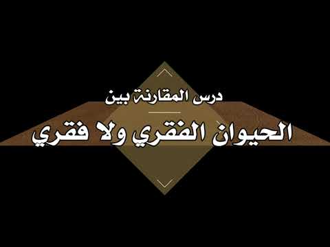مقارنة بين الحيوان الفقري ولا فقري