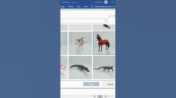 មុខងារខ្លះនៅក្នុង Ms  word 2019 ដែលយើងគួរដឹង #excel #spreadsheetmagic #microsoftexcel #spreadsheetso
