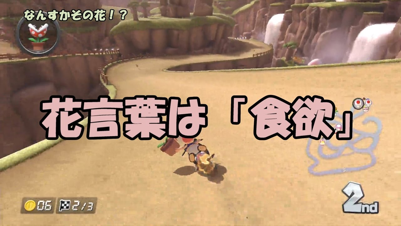 【ゆっくり実況】そのゆっくり,160km/h 【19th Race】 【マリオカート8】