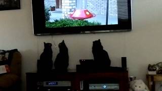 DSCN1084.MOV