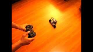 Vengit SBrick controlled by gamepad