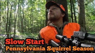 Slow Start to the Pennsylvania Squirrel Season