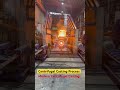 Centrifugal Casting Process