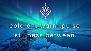 1H Aurora Basslines 🌌 | Deep House x Nordic Electro-Folk Mix 2025 | Arctic Pulse