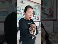 funny cat videos 💥🤪 #cat #catcomedy #catvideos #foryou #funny #againmeowhaha #crazycats #foryou