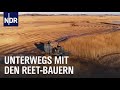 Reet: Ernten, wo andere nicht hinkommen | Die Nordreportage | NDR Doku