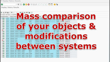 SAP BASIS tool SREPO: Compare objects between systems