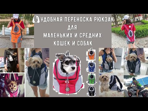 🐶🐈Удобная переноска рюкзак для маленьких и cредних кошек🐈 и собак🐕