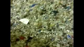 Eddy Current Separator fines trial