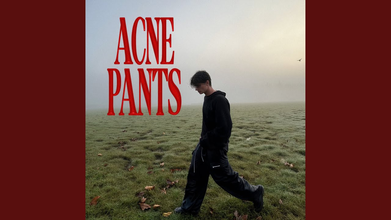 acne pants