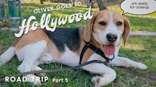 2022 road trip! ⭐️ Oliver goes to Hollywood ⭐️ (Part 5)