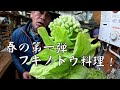 春1番のフキノトウ味噌を作ってみた！　　第７５回
