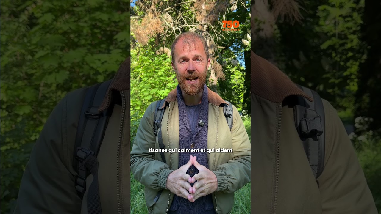 On a trouvé le meilleur spot de courses (et c'est gratuit) ! 🤫🌿