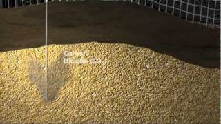 Carbon Capture \& Sequestration