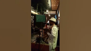 አሸንዳ ጭራ ተመሰገን ተክላይ Lihammelody 2025 Habesha Music Live Dance Vairalvideo Satisfying 