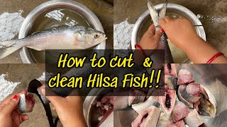 How To Cut Hilsa Fish Cut & Clean Ilish Mach Clean Hilsa Fish D Recipe Youtube Channel
