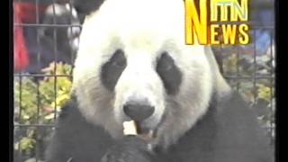 Special ITN News Titles & Thames News 1988 (Thames)