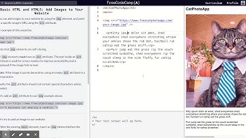 Learn Basic HTML and HTML5: Add Images to Your Website | freeCodeCamp.org  09