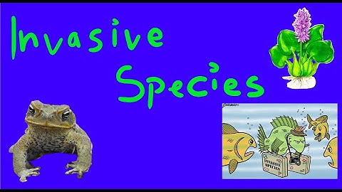 A chat on invasive species