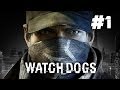 Watch Dogs #1 - Стадион