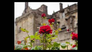 Bekriebu Derdimendim Ya Rasulallah