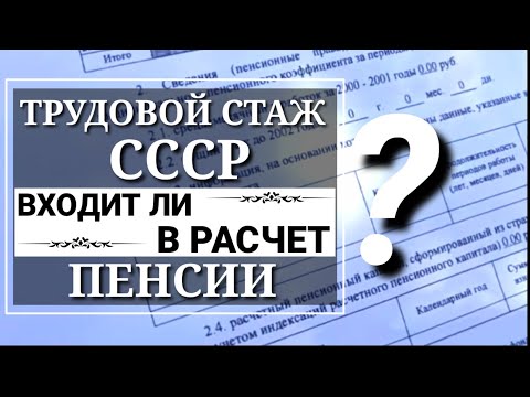 Где деньги Зин?