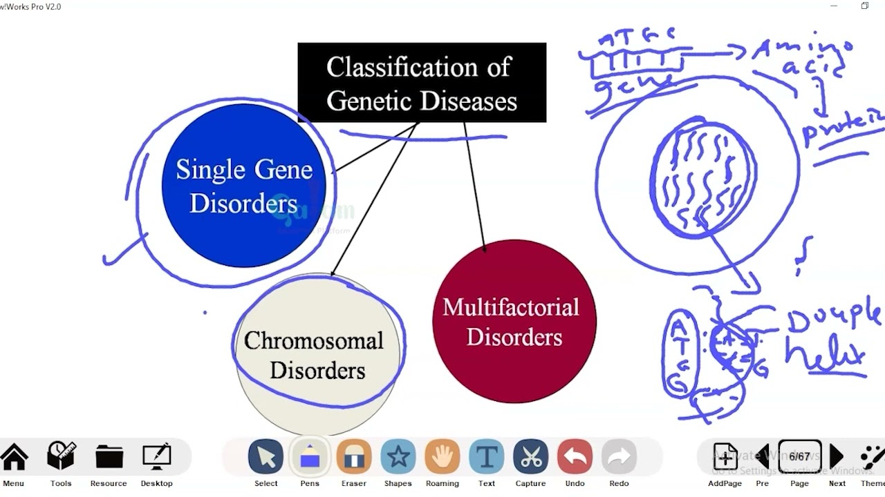 Chapter 5 Clasifications Of Genetics Disorder Lesson 1 YouTube Chapter 5 Clasifications Of Genetics Disorder Lesson 1 YouTube