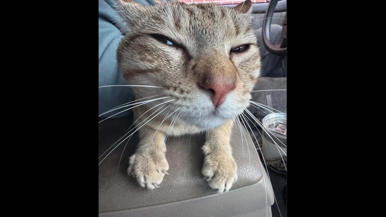 the best seed ive ever rolled, but...