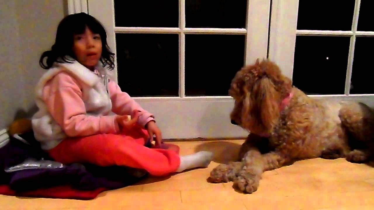 SAM 0646 - YouTube