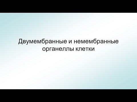 Двумембранные и немембранные органеллы